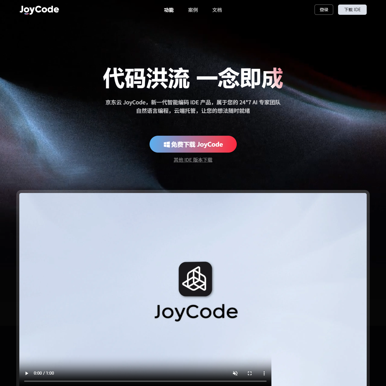 JoyCode
